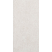  12" x 24" Wall Tile (11534)